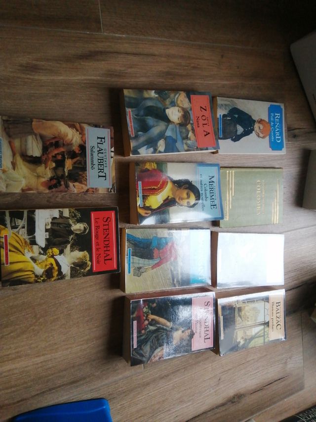 Literatura francesa en francés