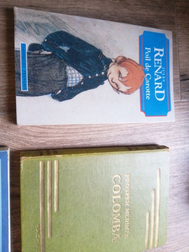 Literatura francesa en francés