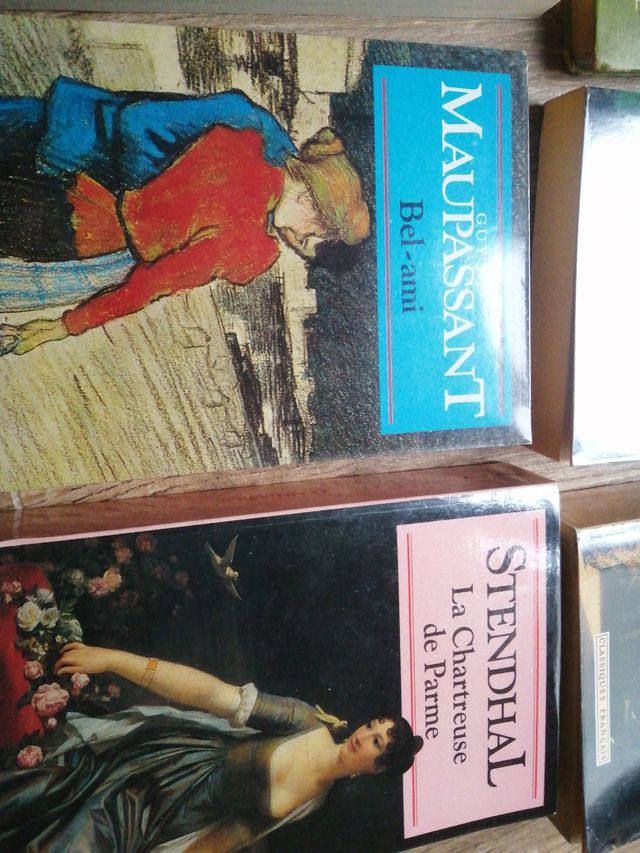 Literatura francesa en francés