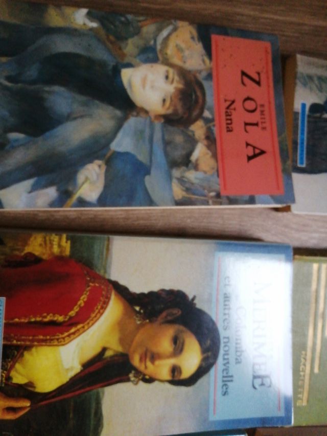 Literatura francesa en francés