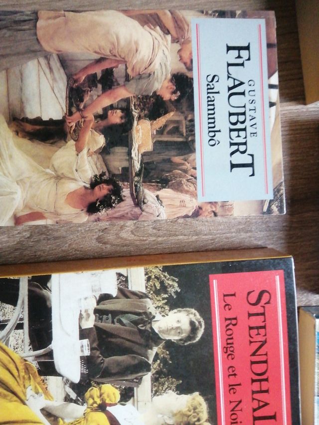 Literatura francesa en francés