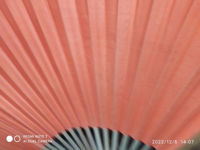 Abanico gran formato.