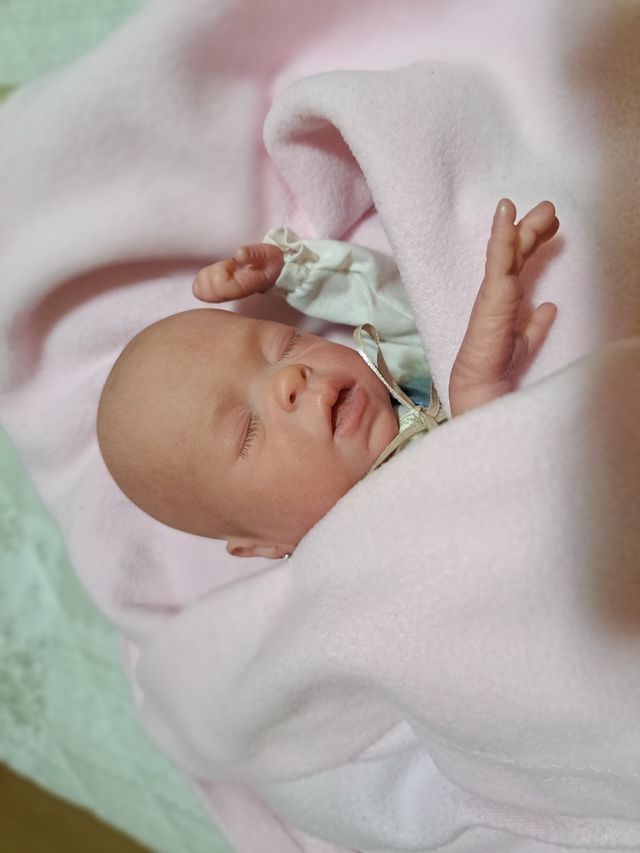 Reborn,muñeca baturra