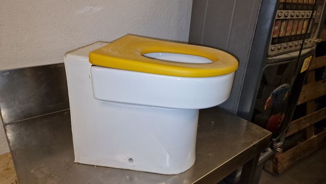 inodoro infantil happening roca amarillo