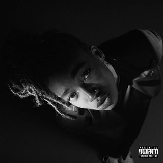 LITTLE SIMZ ‎- GREY AREA (CD) o (LP)