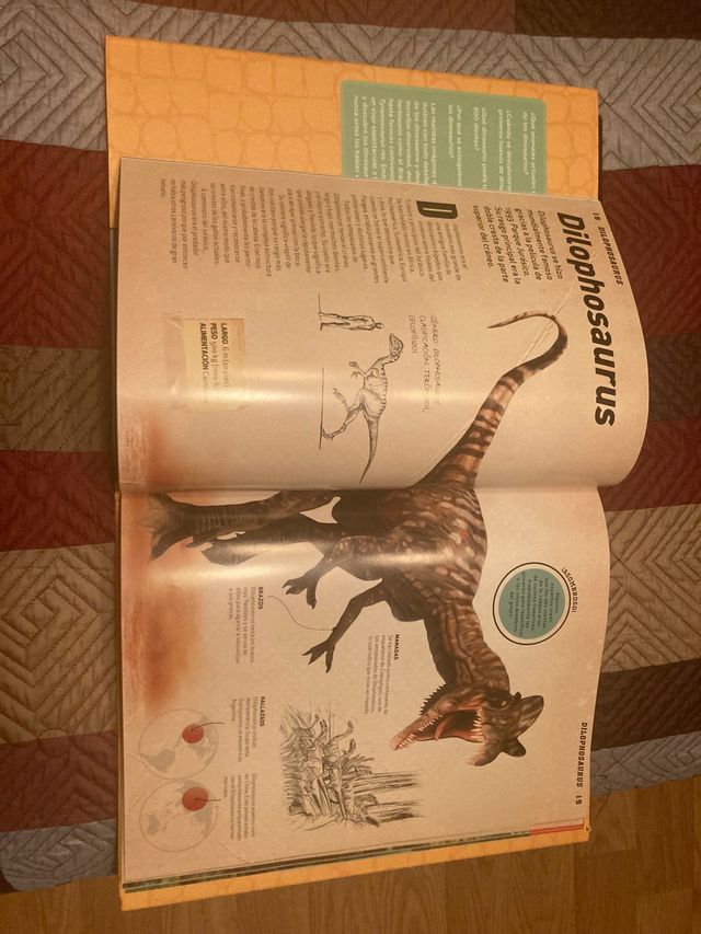Libro Dinosaurios