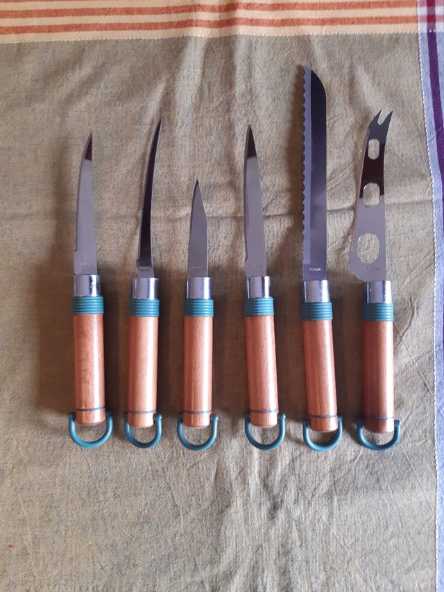 ceppo di coltelli Pedrini