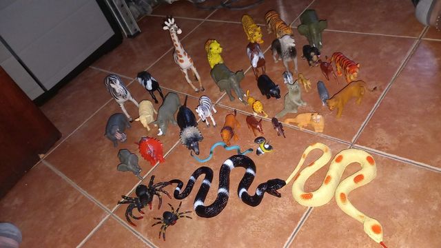 Lote de animales de la selva