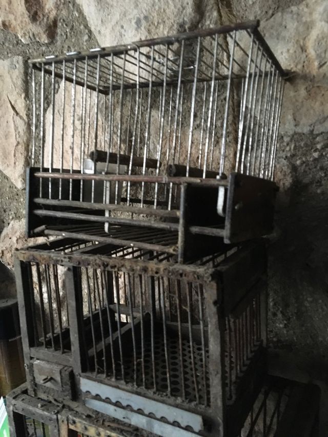 Lote de 2 jaulas muy antiguas
