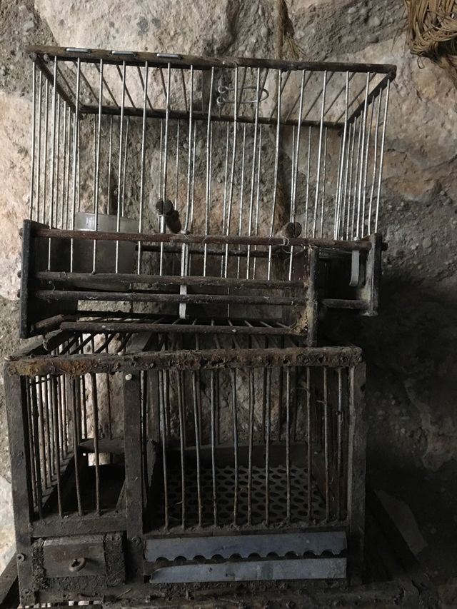 Lote de 2 jaulas muy antiguas