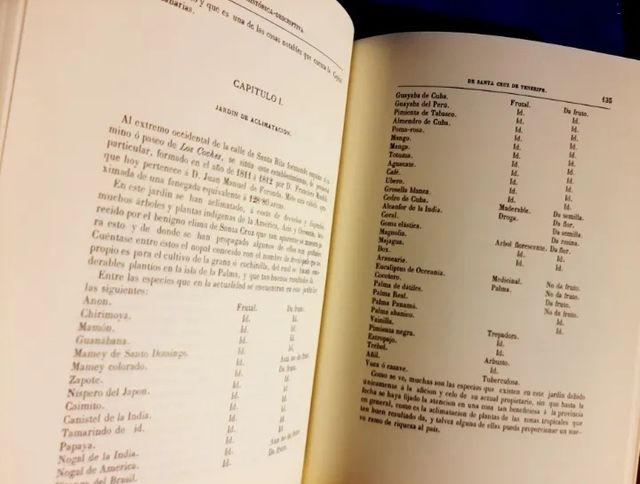 Guía histórico - descriptiva de Santa Cruz de Tfe.