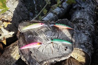 8 Amostras/Iscas Artificiais para Pesca | NOVAS