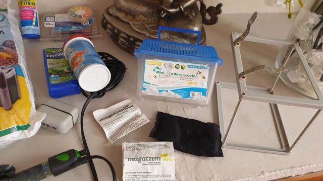 Lote completo acuario pecera