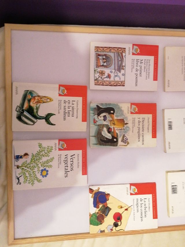 Colección Libros de la Sopa de Libros