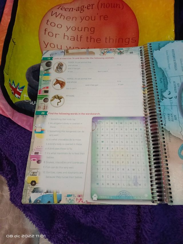 Libro Inglés Kids and us /kids & us