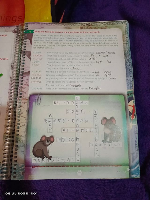 Libro Inglés Kids and us /kids & us