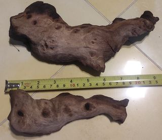 🔴 Decoración acuario 🔴 