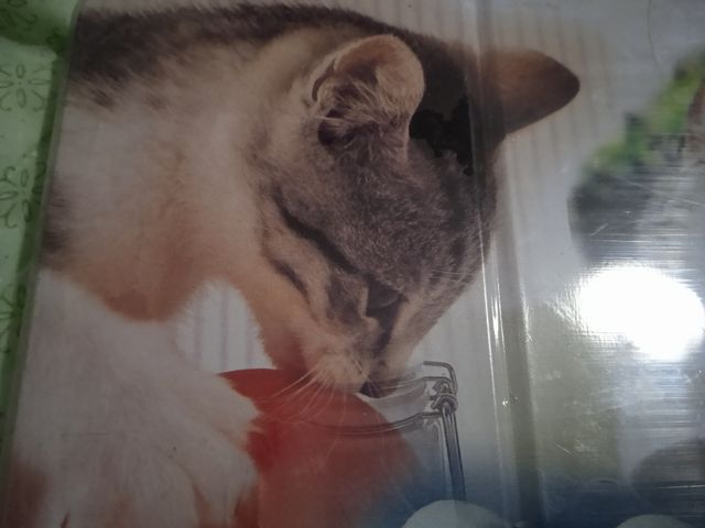 OFERTA "Estuche de Pintura Mascotas,,"