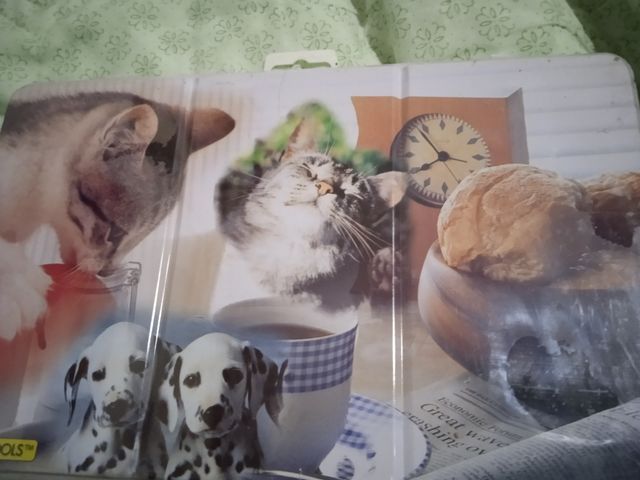 OFERTA "Estuche de Pintura Mascotas,,"