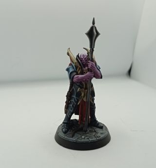 Servicio de Pintaura Miniaturas Warhammer