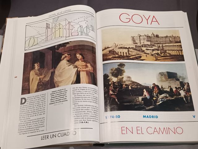 Libro Goya en el camino