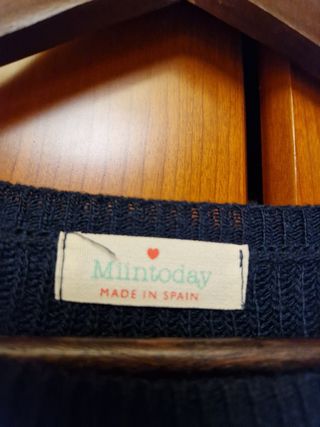 Jersey corto rayas Miint