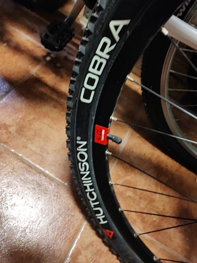 Bicicleta Btwuin Rock Raider