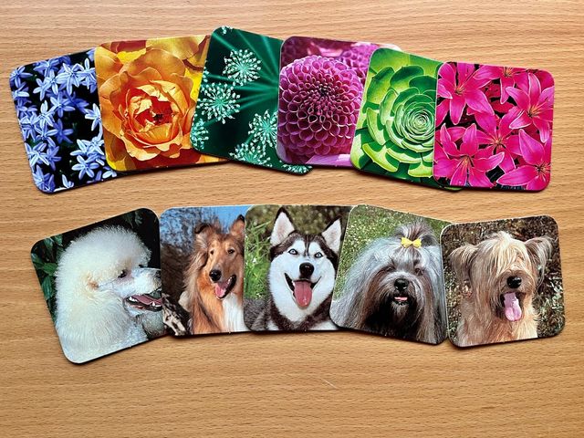 Posavasos flores y perritos