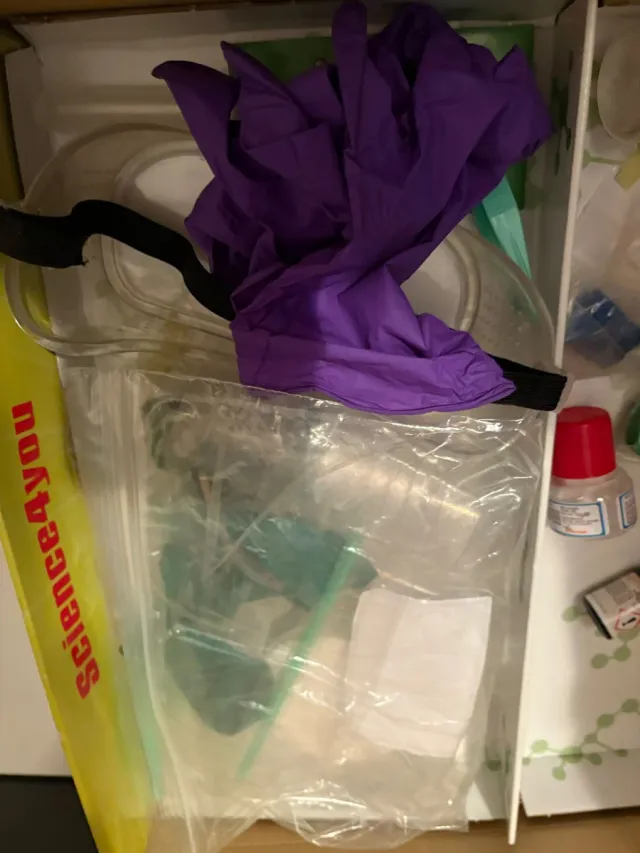 Química 2000 en català