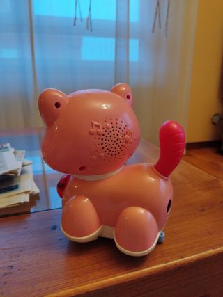 Gatito miau-miau
