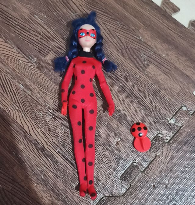 lady bug