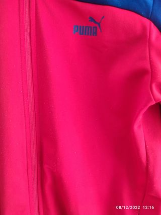 Chaqueta Puma