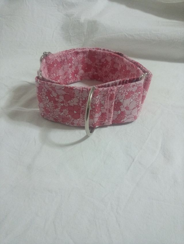 collar galgos podencos.....