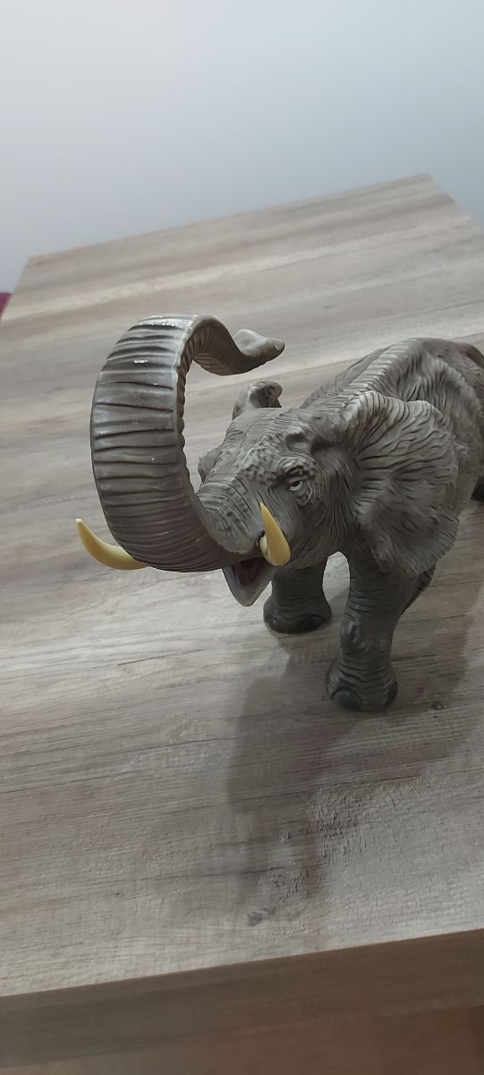 Elefante precioso