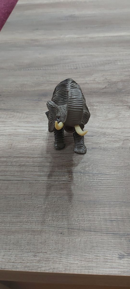 Elefante precioso
