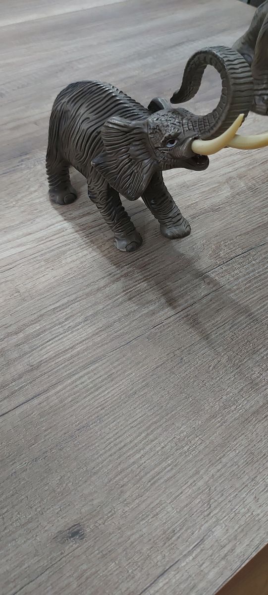 Elefante precioso