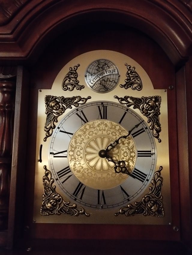 Reloj de pie pendulo tempus fugit de segunda mano por 600 EUR en