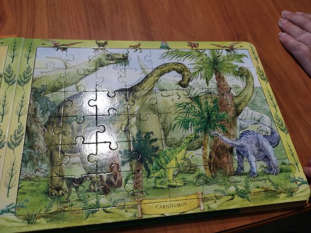 Muitos livros sobre DINOSSAUROS