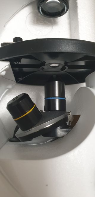 MICROSCOPIO Elettronico