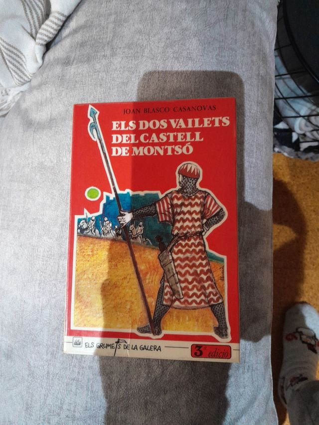 Els dos vailets del castell de Montsó