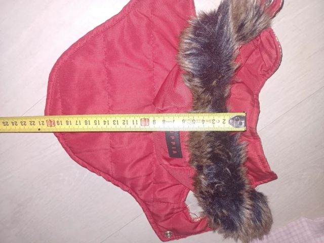 chubasquero/sira y abrigo  cachorrrr/perrito peque