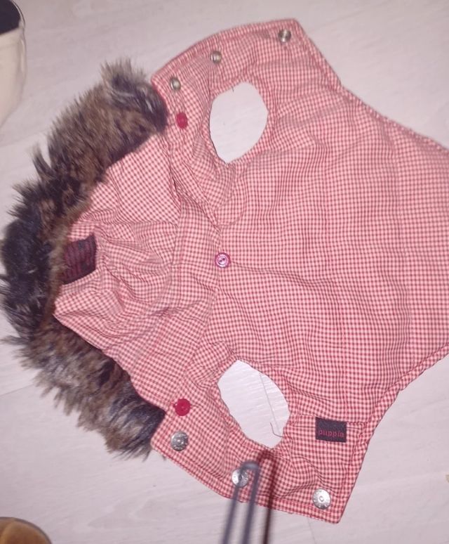 chubasquero/sira y abrigo  cachorrrr/perrito peque