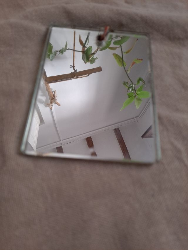 Petit Mirall Antic/Piccolo specchio antico