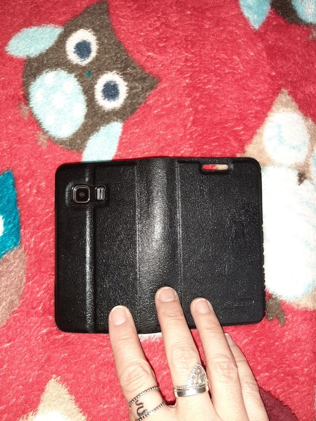 Cellulare e custodia