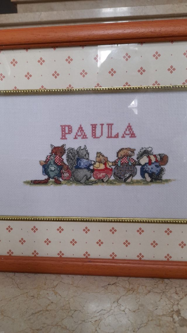 cuadro de nombre paula