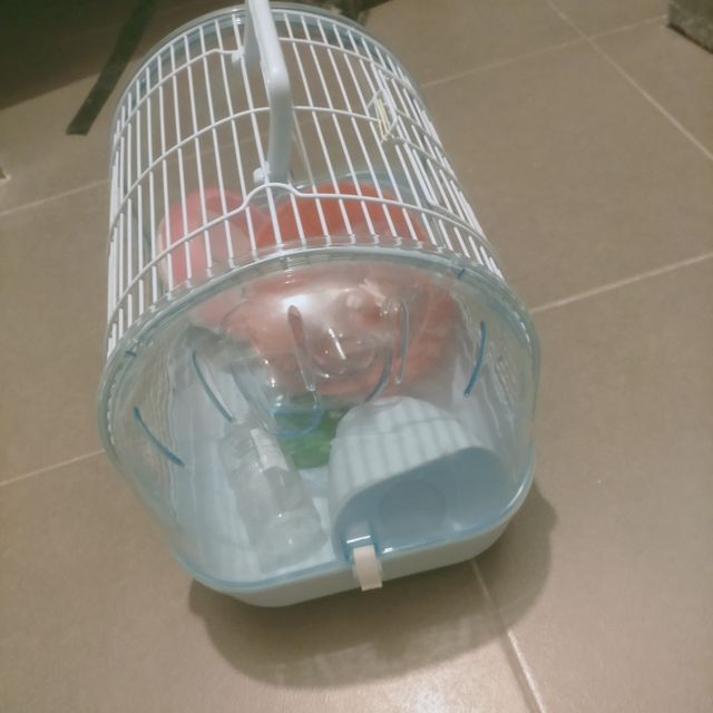 jaula hamster