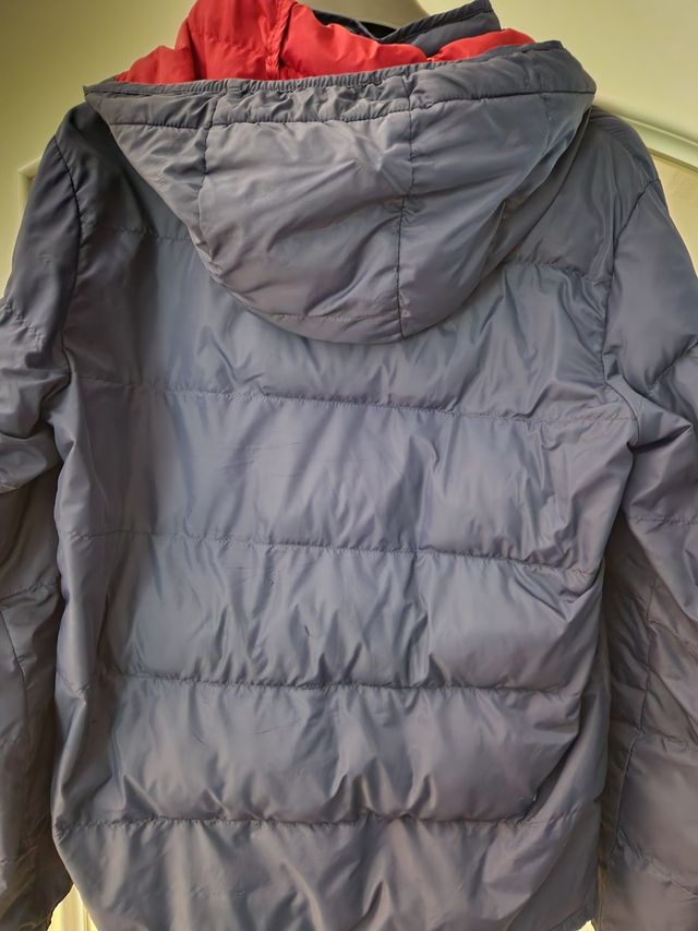 plumas Hackett talla 14 años