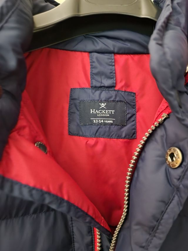 plumas Hackett talla 14 años