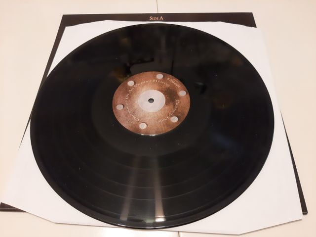 CRIMSON DAWN -CHRONICLES OF AN UNDEAD HUNTER-