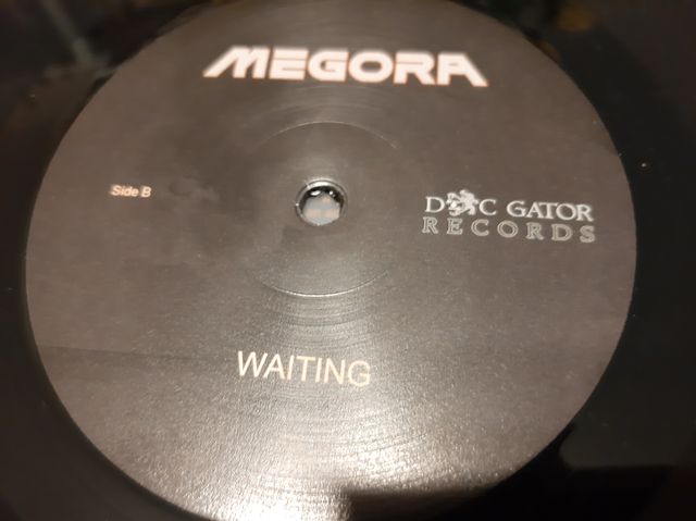 VINILO + CD DE MEGORA -WAITING-